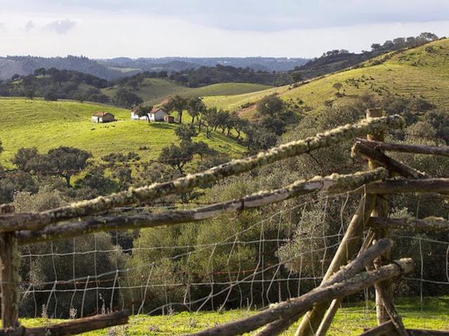 Monte Da Gravita Ribeira do Salto Bagian luar foto